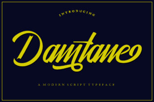 Damtane: A Modern Calligraphy Typeface for Editorial Design
