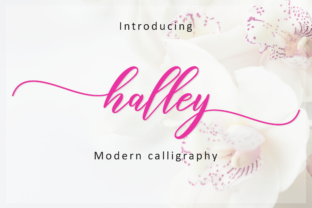 Halley Script: The Perfect Typeface for Romantic Digital Branding