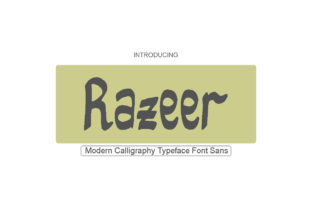 Razeer: A Playful Sans Serif Typeface for Editorial Design